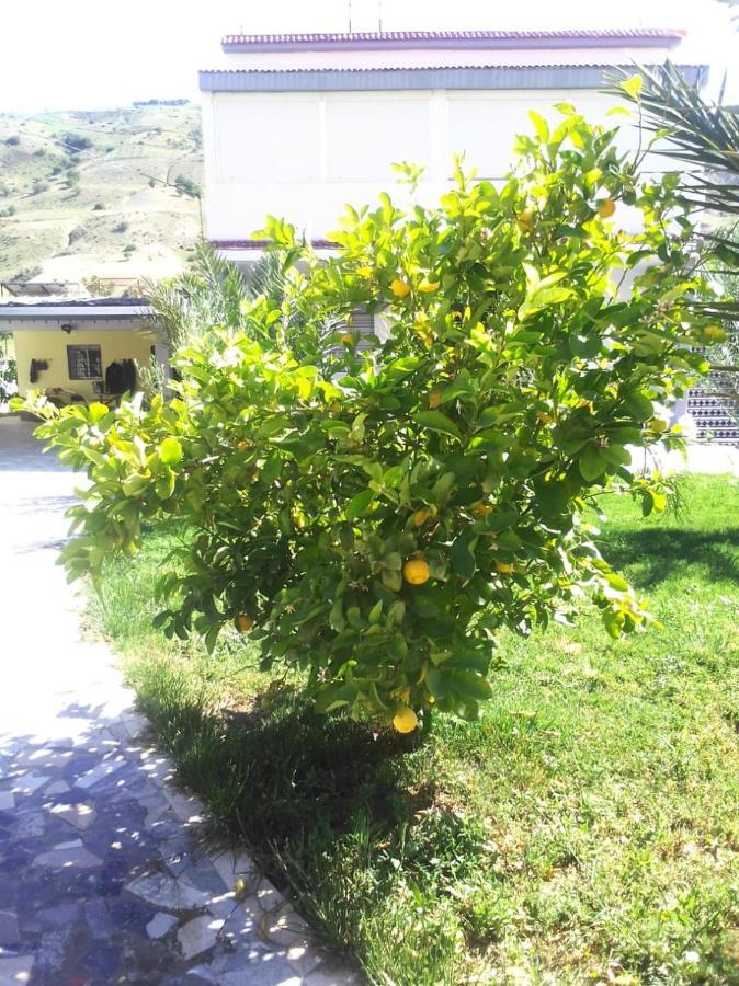 Belle Maison Au Coeur Des Montagnes De Taza A Moins De 10 Minutes De L'Agora Park Villa Buitenkant foto